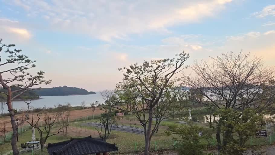 바다와 나무 사이 저녁 하늘